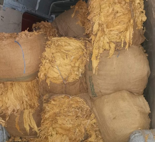 Голям удар на пловдивската полиция! Разкриха цех за незаконни цигари