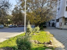 Стартира залесителна кампания в район "Централен" в Пловдив