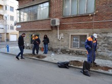 Първа акция по залесяване на улици в "Северен"
