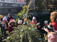 Децата от ДГ "Чучулига“ поставиха коледна украса на новите борчета на бул. "Свобода“