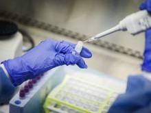 България счупи рекордите за починали и оздравели от COVID-19