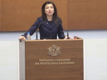Надя Клисурска: По-скоро да се създаде Агенция за хората с увреждания към МС
