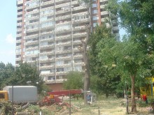 Законно е: На мястото на 5 дървета правят център за автомобилни гуми