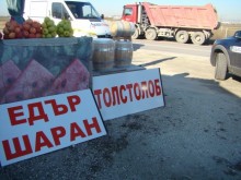 Пловдивчани в битка за най-евтиния шаран