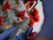 38.8 % от тестваните за последните 24 часа са положителни