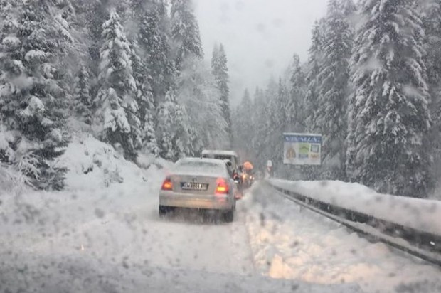 Фейсбук
Обилен сняг вали в момента по високите части на Родопите