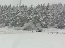Обилен снеговалеж на "Хижа Здравец"