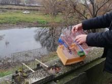 Акция на Руския пазар в Пловдив