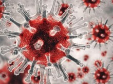 Нобелов лауреат създаде унищожаващо COVID-19 покритие