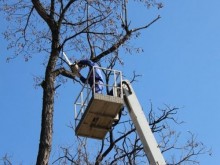 Пловдивчанка: Само едно обаждане до Plovdiv24.bg свърши работа