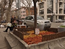 Коледна магия: Сдружение разкраси дървета от улица “Иван Вазов"