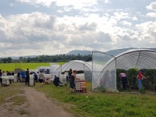 Добри новини за българските гурбетчии във Великобритания