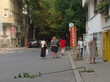 Младежи разпускат, като кършат новопосадено дръвче