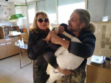 Чудеса се случват! Добра пловдивчанка спаси грациозен бял лебед