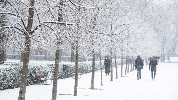 Невижданата снежна буря в Испания стана причина за смъртта на