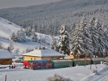 Паднала скална маса спря теснолинейката