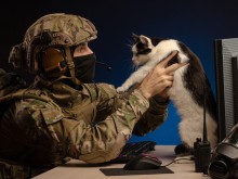 Мъж щурмува с оръжие приют за животни, искал си котката обратно