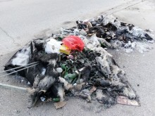 Поредна вандалщина в Пловдив