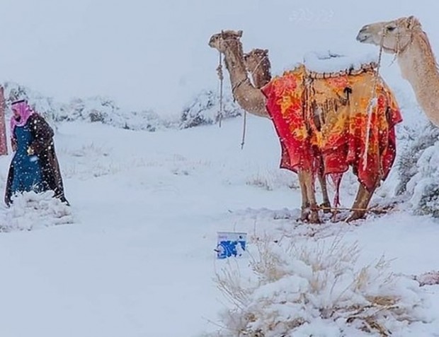 Януари пръсна сняг в Сахара и Близкия Изток Температурите в