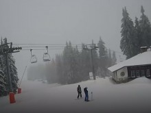 Обилен сняг вали в Родопите и Западна България