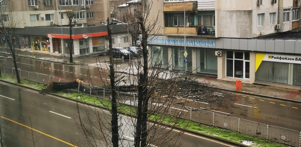 Виждам те КАТ-Варна
Паднало дърво е блокирало движението по бул. 8-ми