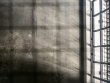 ���� �� ���� ������ � �������� ������ - ���������� �������� �� COVID-19