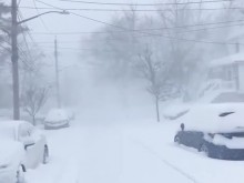 ������ ������� � ���