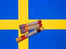 ������ ���� ������� ����������� Covid ���� ��� ������� � ��������