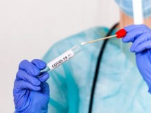 ���� ���� �� ������ ���� ������� �� ����� � PCR ����