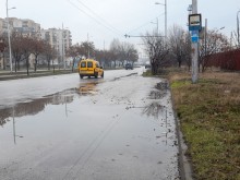 Читателка: Елате да видите как живеем на Околовръстното!