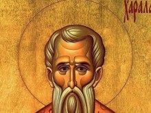 Днес е меденият ден в годината, важен е и за пчеларите