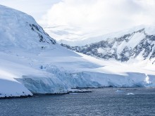 Учени откриха странни създания под антарктическия лед