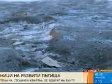 Бунт в "Лозенец", хората искат отговори