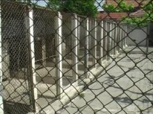 Хотел за кучета е хит по време на отпуските