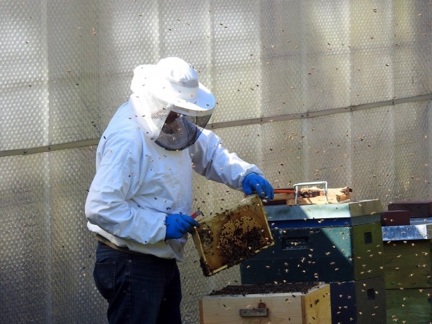 Готовност за национален протест заявиха представители на Националния браншови пчеларски съюз