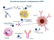 Вижте съставките на ваксината на "Пфайзер", няма чип!