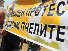 След пълния хаос пчеларите се събират пред Министерството на земеделието