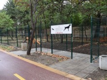 Посочиха най-честите нарушения на собствениците на кучета в Пловдив