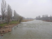 Експерти ще обследват за ларви на комари в Пловдив