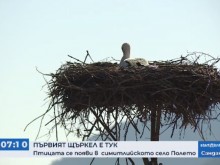 Първият щъркел пристигна у нас три седмици по-рано