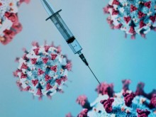 ЕС въвежда единен номер за ваксинираните и преболедувалите COVID-19
