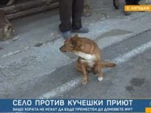 Жители събират подписка срещу изграждането на спасителен център за бездомни кучета