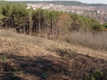 Варненци излязоха на протест