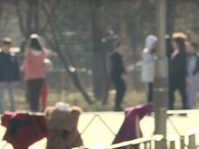 Инцидент в училищен двор! Бездомно куче ухапа дете
