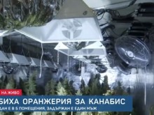 Откриха модерна оранжерия за канабис в град Шипка