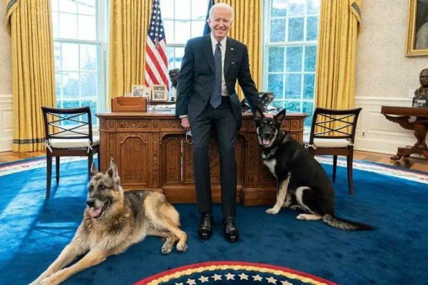 БТА
Президентът на САЩ Джо Байдън е върнал двете си кучета