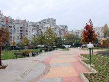 Ландшафтни архитекти против безразборното засаждане на нешколувани дръвчета