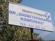 В Деня на бездомните животни от общинския приют раздават подаръци за всяко одомашнено куче