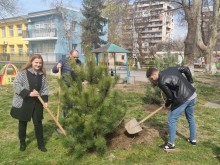 Акция по засаждане на дървета се проведе в район "Северен"