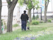 Ароматът на прясно окосена трева намалявал стреса